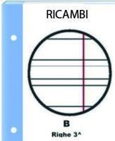 RICAMBI PER RACCOGLITORE RIGO B 3^ELEM. -RINFORZATO