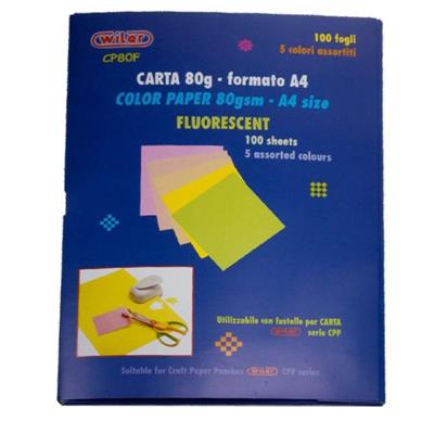 CARTA COLORATA 80gr A4 - 100 FOGLI IN 5 COLORI FLUO